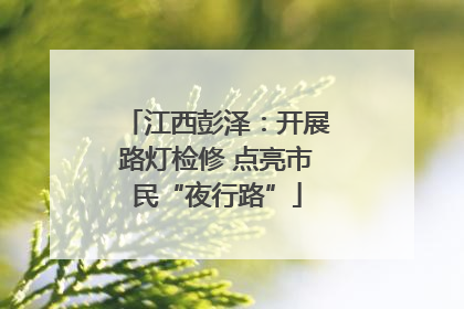 江西彭泽：开展路灯检修 点亮市民“夜行路”