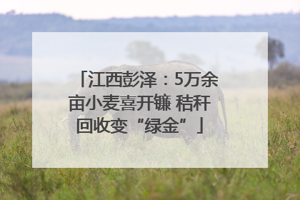 江西彭泽：5万余亩小麦喜开镰 秸秆回收变“绿金”