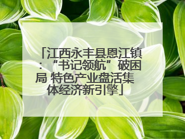 江西永丰县恩江镇：“书记领航”破困局 特色产业盘活集体经济新引擎