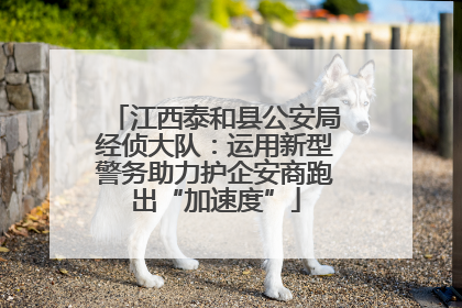 江西泰和县公安局经侦大队：运用新型警务助力护企安商跑出“加速度”