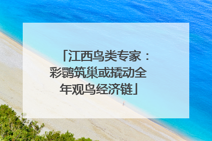 江西鸟类专家：彩鹮筑巢或撬动全年观鸟经济链