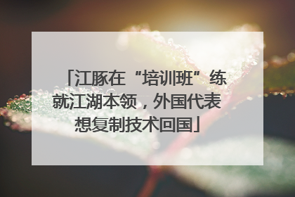 江豚在“培训班”练就江湖本领，外国代表想复制技术回国