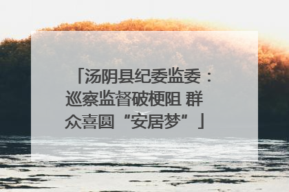 汤阴县纪委监委：巡察监督破梗阻 群众喜圆“安居梦”