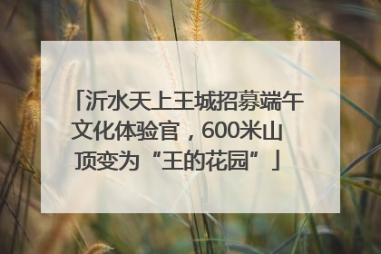 沂水天上王城招募端午文化体验官，600米山顶变为“王的花园”