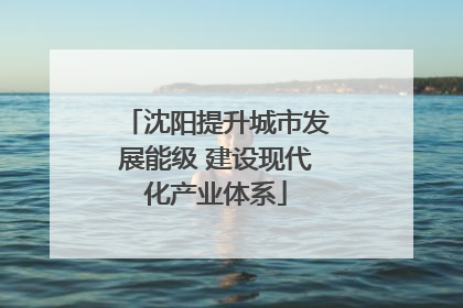 沈阳提升城市发展能级 建设现代化产业体系
