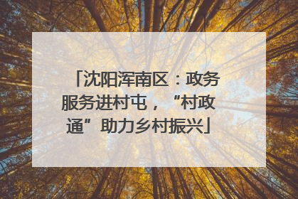 沈阳浑南区：政务服务进村屯，“村政通”助力乡村振兴