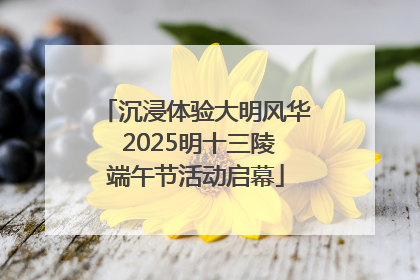 沉浸体验大明风华 2025明十三陵端午节活动启幕