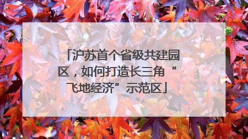 沪苏首个省级共建园区，如何打造长三角“飞地经济”示范区