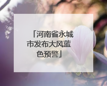 河南省永城市发布大风蓝色预警