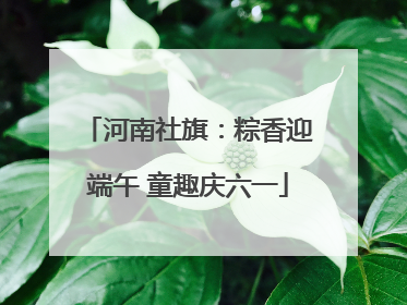 河南社旗：粽香迎端午 童趣庆六一