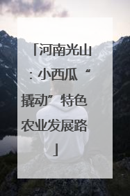 河南光山：小西瓜“撬动”特色农业发展路