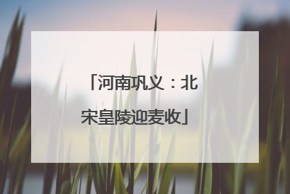 河南巩义：北宋皇陵迎麦收