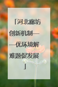 河北廊坊创新机制——优环境解难题促发展