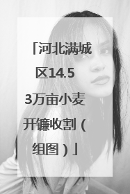 河北满城区14.53万亩小麦开镰收割（组图）
