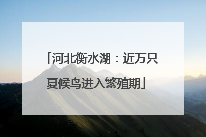 河北衡水湖：近万只夏候鸟进入繁殖期