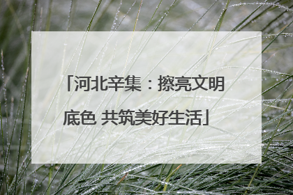 河北辛集：擦亮文明底色 共筑美好生活