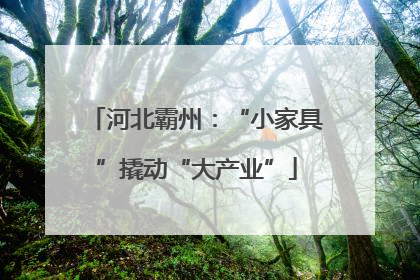 河北霸州：“小家具”撬动“大产业”