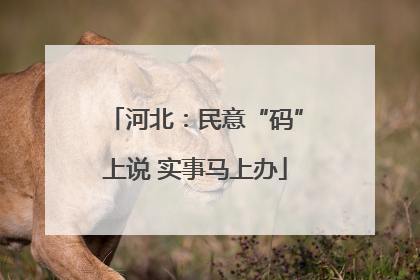 河北：民意“码”上说 实事马上办