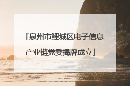 泉州市鲤城区电子信息产业链党委揭牌成立