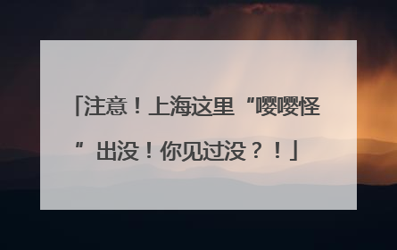 注意！上海这里“嘤嘤怪”出没！你见过没？！