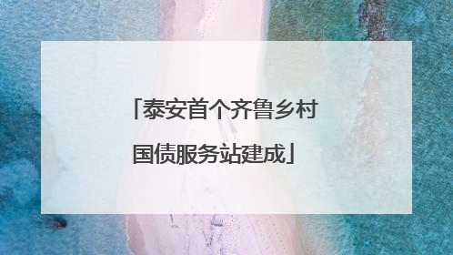 泰安首个齐鲁乡村国债服务站建成