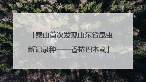 泰山首次发现山东省昆虫新记录种——香椿巴木虱