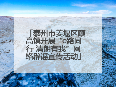 泰州市姜堰区顾高镇开展“e路同行 清朗有我”网络辟谣宣传活动