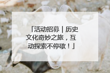 活动招募｜历史文化奇妙之旅，互动探索不停歇！