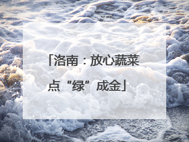 洛南：放心蔬菜点“绿”成金