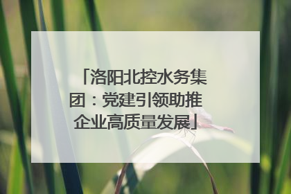 洛阳北控水务集团：党建引领助推企业高质量发展