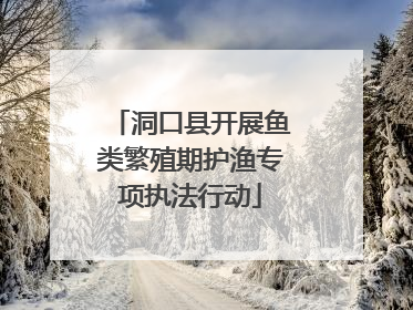 洞口县开展鱼类繁殖期护渔专项执法行动