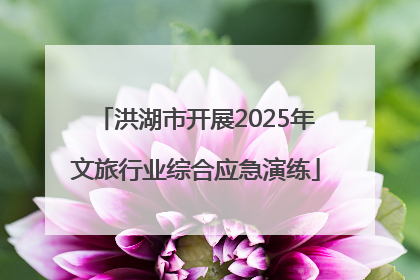 洪湖市开展2025年文旅行业综合应急演练