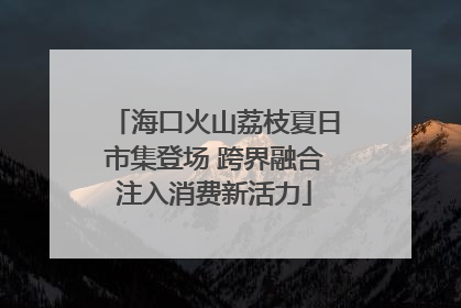 海口火山荔枝夏日市集登场 跨界融合注入消费新活力