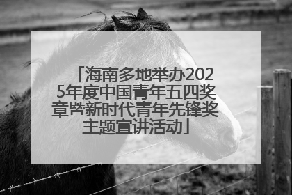 海南多地举办2025年度中国青年五四奖章暨新时代青年先锋奖主题宣讲活动