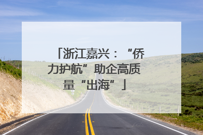 浙江嘉兴：“侨力护航”助企高质量“出海”