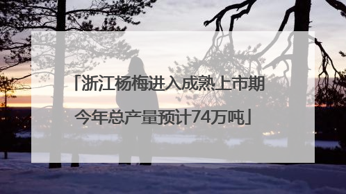 浙江杨梅进入成熟上市期 今年总产量预计74万吨