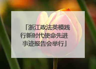 浙江政法英模践行新时代使命先进事迹报告会举行