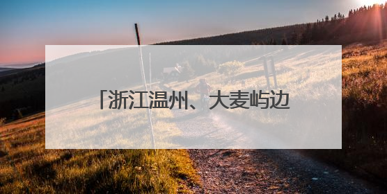 浙江温州、大麦屿边检站组织开展“六一”主题教育系列活动