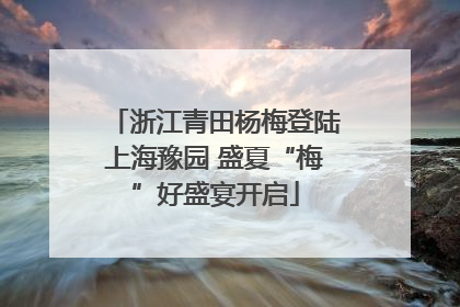 浙江青田杨梅登陆上海豫园 盛夏“梅”好盛宴开启