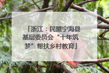 浙江：民盟宁海县基层委员会“十年筑梦”帮扶乡村教育