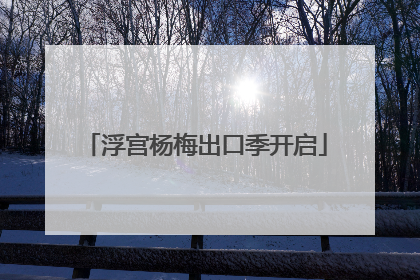 浮宫杨梅出口季开启