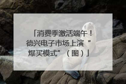 消费季激活端午！德兴电子市场上演“爆买模式”（图）