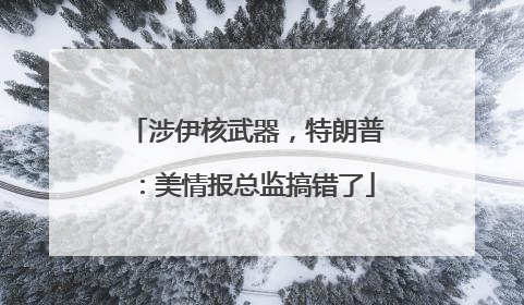 涉伊核武器，特朗普：美情报总监搞错了