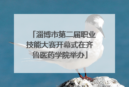 淄博市第二届职业技能大赛开幕式在齐鲁医药学院举办