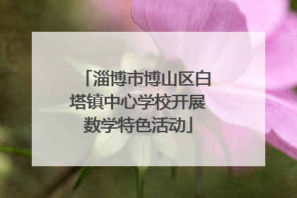 淄博市博山区白塔镇中心学校开展数学特色活动