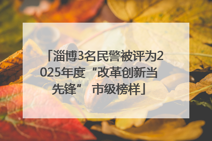 淄博3名民警被评为2025年度“改革创新当先锋” 市级榜样