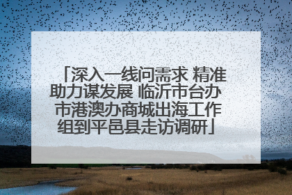 深入一线问需求 精准助力谋发展 临沂市台办 市港澳办商城出海工作组到平邑县走访调研