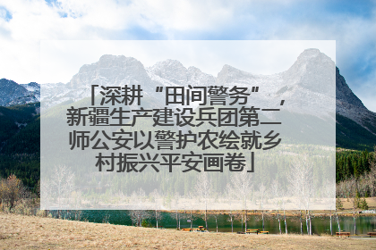 深耕“田间警务”，新疆生产建设兵团第二师公安以警护农绘就乡村振兴平安画卷