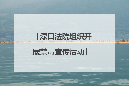 渌口法院组织开展禁毒宣传活动