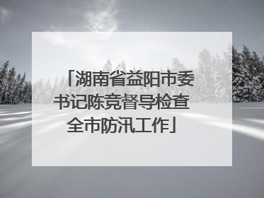 湖南省益阳市委书记陈竞督导检查全市防汛工作